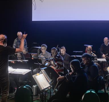 BBC Concert Orchestra Picture