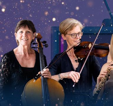 Sinfonia Viva's New Year's Eve Gala
