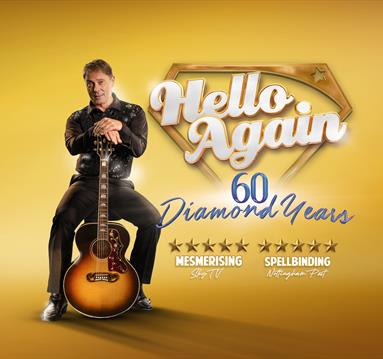 image of neil diamond