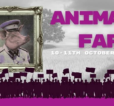 Youth Group: Animal Farm
