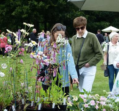 Summer Plant Hunters' Fair at Thoresby Park