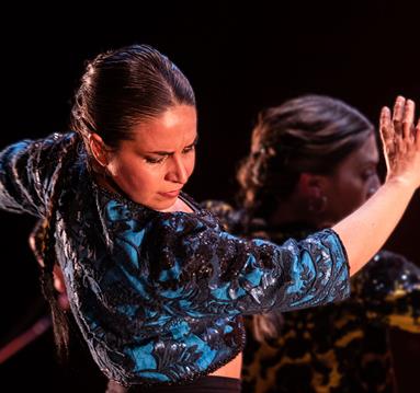 Photo of a flamenco dance