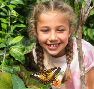 Tropical Butterfly House Wildlife Conservation Park
