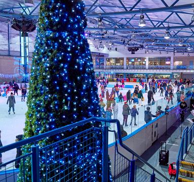 Winter Family Fun Day & Christmas Light Switch on at National Ice Centre
