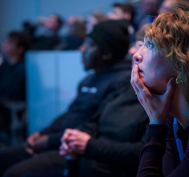 Reworking the Institution in Troubled Times
