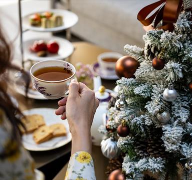 Photo of a person holding a cup of tea with a christmas tree in the background