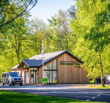 Sherwood Pines Camping in the Forest Site | Nottinghamshire