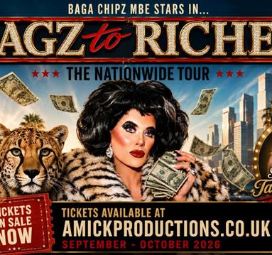 Baga Chipz - Bagz to Riches
