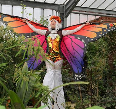 Lady on stilts wearing a butterfly outfit