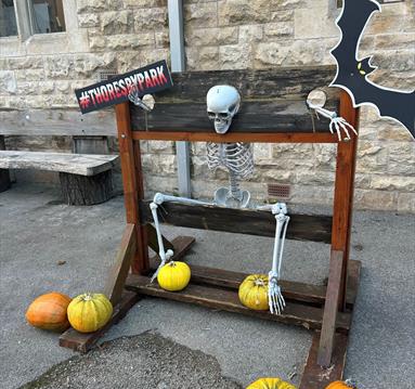Thoresby Park Halloween Trail
