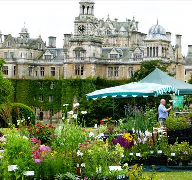 Spring Plant Hunters Fair
