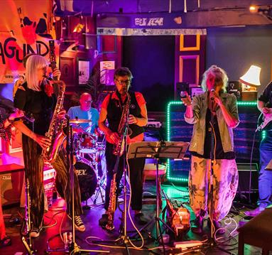 Salmagundi band playing in a venue