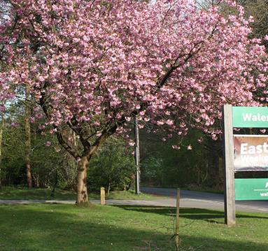 Easter Activities Weekend at Walesby Forest
