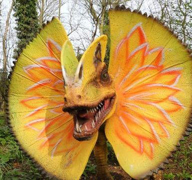 Roar and Explore! Jurassic adventures await at the Tropical Butterfly House
