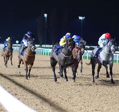 Evening Flat Racing at Southwell Racecourse
