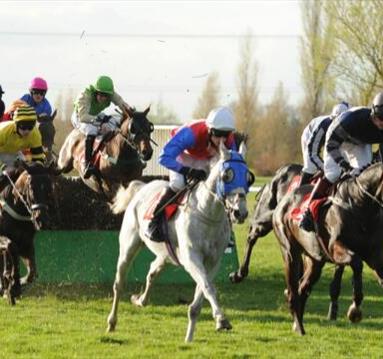Afternoon Jump Racing
