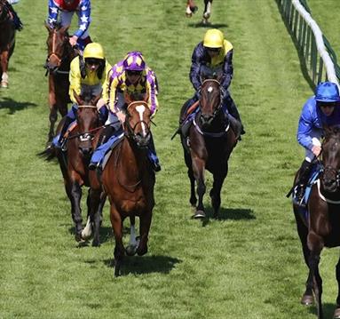 £9 Afternoon Racing at Nottingham Racecourse 2025
