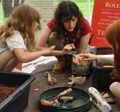 Summer Holiday Activities: Stone Age Safari