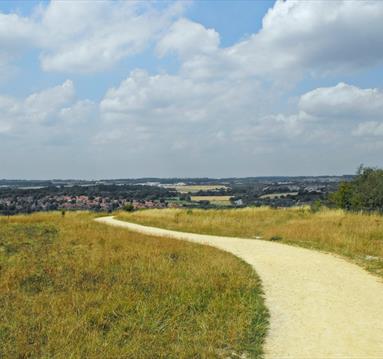 Bestwood Country Park Cycle Route