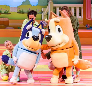 Bluey's Big Play