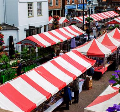 Newark Book Festival
