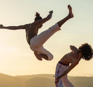Capoeira For Kids Workshop
