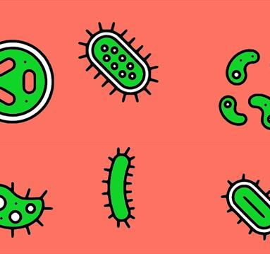 CELLS, VIRUSES, AND BACTERIA! With Rosny Hayward
