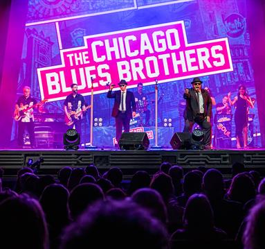 the chicago blues brother on stage