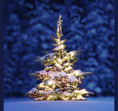 Christmas Is Coming!
