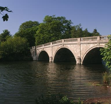 Monthly Family Dog Walk at Clumber Park