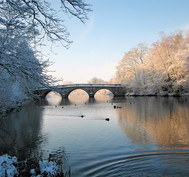 Clumber Park