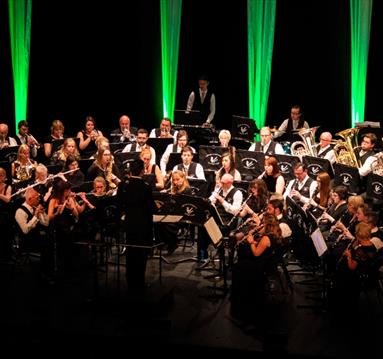 Photo of the Proms orchestra
