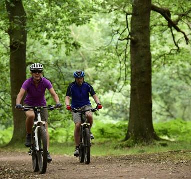 Sherwood 2025 forest cycling