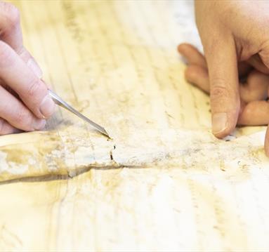 Conservation Manuscript