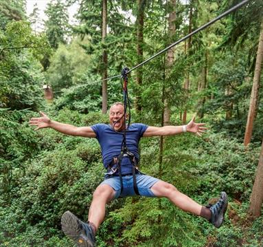 Dadventure at Go Ape Sherwood
