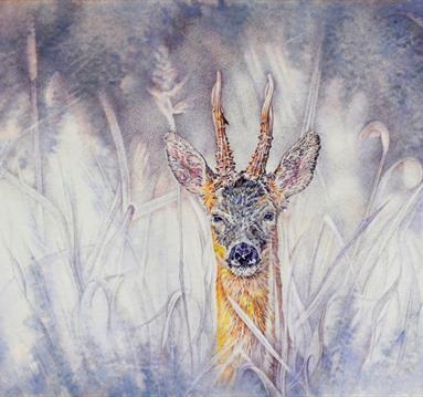 Painting of a deer looking through reeds and tall grass. There is a muted colour palette but the deer is in colour.