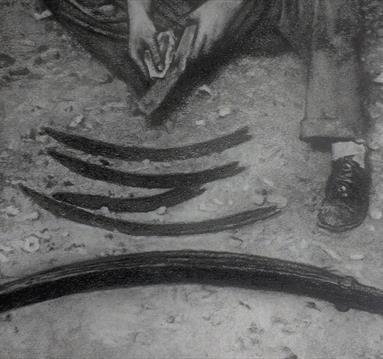 Drawn Through Time - Gallery Tours