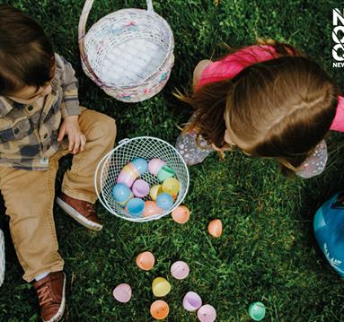 Photo of children playing with easter eggs in baskets.