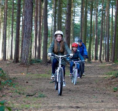 Cycling in Sherwood Forest