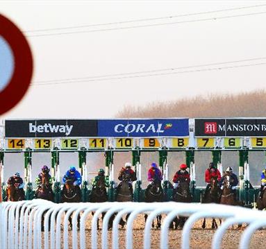 Evening Floodlight Racing
