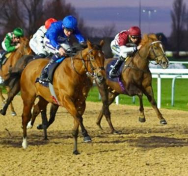 Evening Racing
