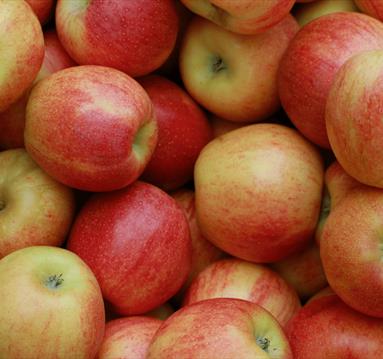 Phot of apples