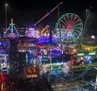 Goose Fair 