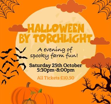 Halloween by torchlight