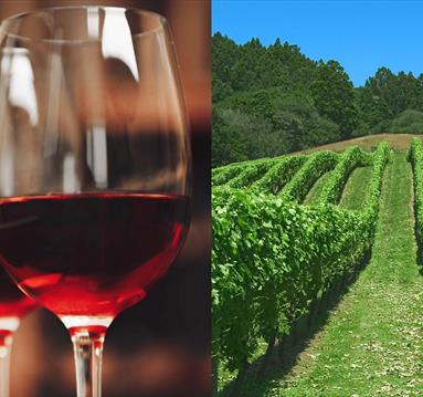 Wine Tasting & 3-Course Dinner at Hart's
