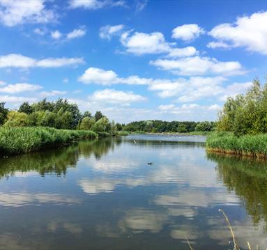 Rushcliffe Country Park