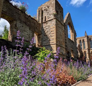 The Palace Gardens of Southwell Minster Open Day