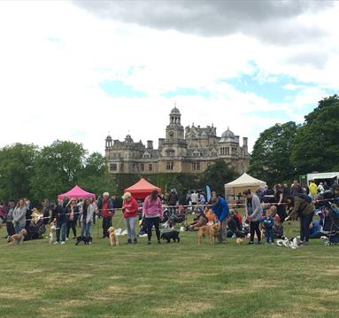 Competitors line up with their dogs in front of food and drink stalls within the grounds of Thoresby Park