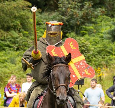 Photo of a knight jousting