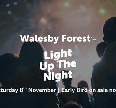 Light Up The Night Fireworks Display at Walesby Forest